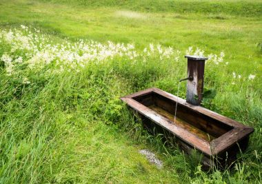 eski geleneksel ahşap çeşme ortasında bir çiçeklenme gür yeşil yaz çayır