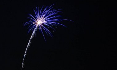 siyah gece gökyüzü ve kopya alanı ile renkli havai fişek dikey görünüm