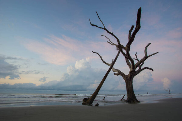 Boneyard Beach on Bull Island in South Carolina at dawn