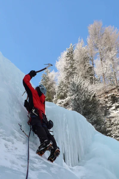 Escalador Gelo Macho Uma Íngreme Cachoeira Congelada Nos Alpes Suíços — Fotografia de Stock