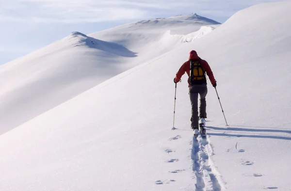 一位男性野外滑雪者在滑雪之旅中走向山顶 在瑞士阿尔卑斯山的冬季新鲜粉雪中 — 图库照片