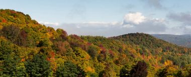 sonbahar orman renkleri ve Appalachian dağları Batı Kuzey Carolina