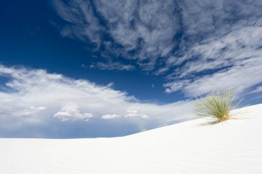 White Sands yakınındaki Güney New Mexico'daki Alamogordo vahşi ve uzak çöl peyzaj