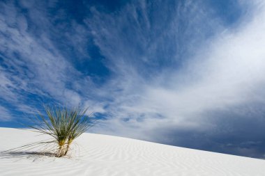 White Sands yakınındaki Güney New Mexico'daki Alamogordo vahşi ve uzak çöl peyzaj