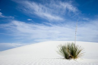 White Sands yakınındaki Güney New Mexico'daki Alamogordo vahşi ve uzak çöl peyzaj