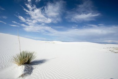 White Sands yakınındaki Güney New Mexico'daki Alamogordo vahşi ve uzak çöl peyzaj