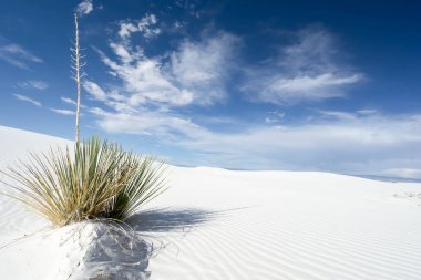 White Sands yakınındaki Güney New Mexico'daki Alamogordo vahşi ve uzak çöl peyzaj
