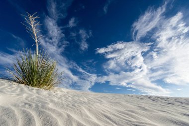 White Sands yakınındaki Güney New Mexico'daki Alamogordo vahşi ve uzak çöl peyzaj