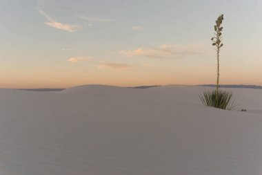 beyaz kum ve dunes etkileyici bir gökyüzünün altında yatay çöl