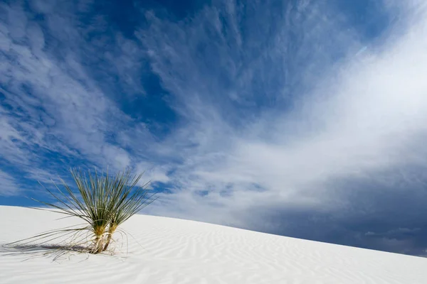 Wilde Und Abgelegene Wüstenlandschaft Mit Weißem Sand Der Nähe Von — Stockfoto