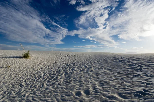 Wilde Und Abgelegene Wüstenlandschaft Mit Weißem Sand Der Nähe Von — Stockfoto