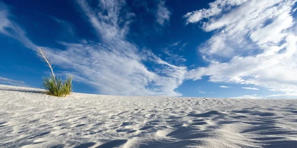 White Sands yakınındaki Güney New Mexico'daki Alamogordo vahşi ve uzak çöl peyzaj
