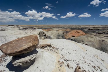 Bisti vahşi alan Kuzey New Mexico