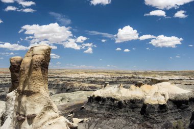 Bisti vahşi alan Farmington yakınındaki kuzey New Mexico'da