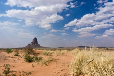 Yatay, mesa kaya oluşumu, çalılar ve kırmızı kum çöl