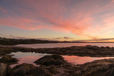 Şafakta okyanus üzerinde güzel gündoğumu Fundy Körfezi 'nde bir plaj