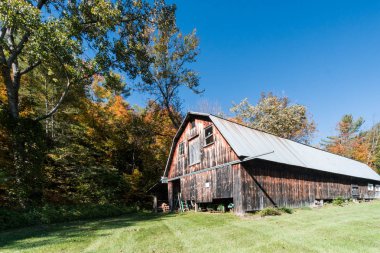eski rustik ahşap ahır sonbahar renkleri ormanda çevrili yeşil bir alana işlemi devam ederken