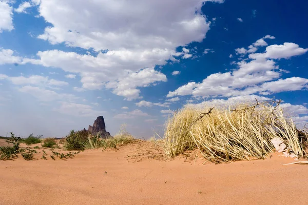 Paesaggio Desertico Con Formazione Rocciosa Mesa Arbusti Sabbia Rossa — Foto Stock