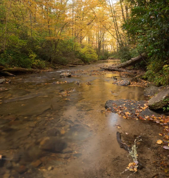 Torrente Montagna Con Riflessi Bellissimi Dintorni Autunno — Foto Stock