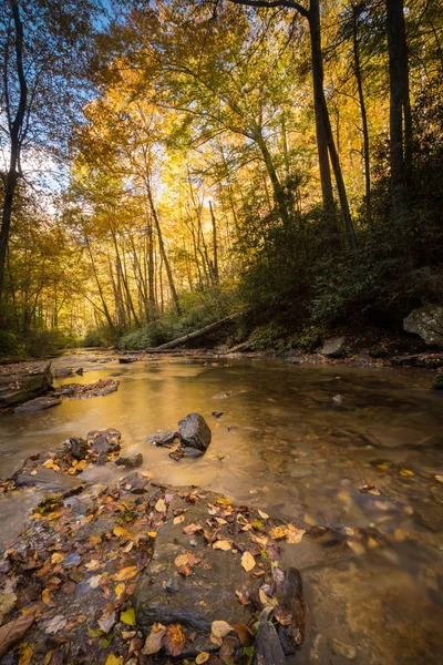 Torrente Montagna Con Riflessi Bellissimi Dintorni Autunno — Foto Stock