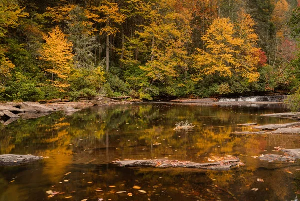 Queda Paisagem Florestal Com Pequena Cachoeira Reflexões Carolina Norte Montanhas — Fotografia de Stock