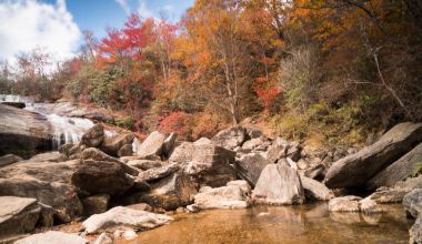 güzel şelale Yüzme delik olan ve renkli ormandaki yeşillik düşmek