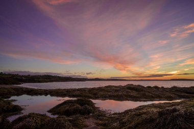 gelgit havuzları ve düşük gelgit güzel gün doğumu ile Fundy Körfezi içinde yosun yatak
