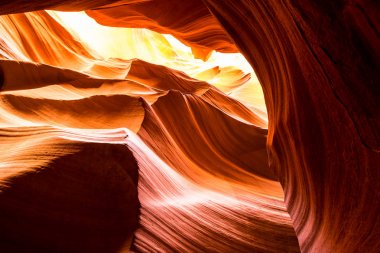 bir güzel yuvası Kanyon ve Arizona Çölü'nde kırmızı kayalar yatay görünüm