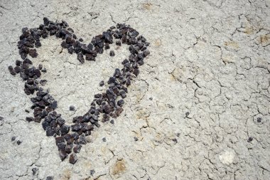 heart made of red stone pebbles on a parched and cracked desert dirt ground clipart