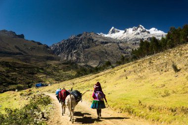 kadın Indio porter ve eşek bir dağcılık expedition Cordillera Blanca Peru Andes içinde için malzeme taşıma