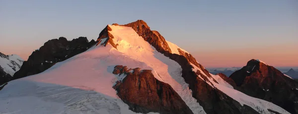 Cumbre Piz Bernina Los Alpes Suizos Primera Hora Mañana — Foto de Stock
