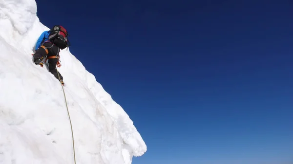 Montañista Masculino Escalando Empinado Muro Glaciar Cordillera Del Delfín Los — Foto de Stock