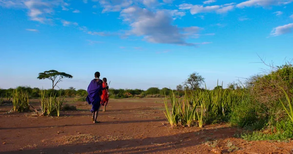 Dos Machos Jóvenes Masai Sabana Los Pastizales Tanzania —  Fotos de Stock