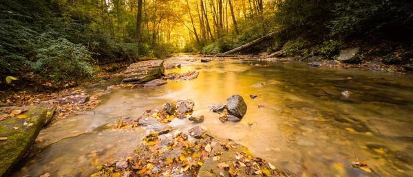 黄金の光と反射と落ち葉で秋の森で小さなマウンテン クリーク — ストック写真