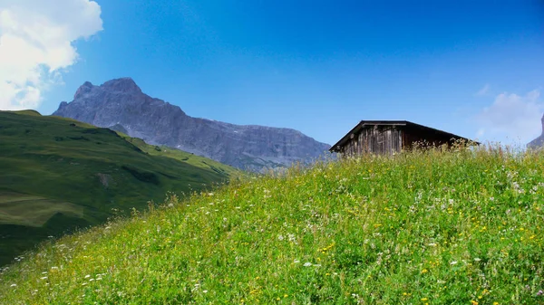 後ろに豪華な山の風景と緑豊かな緑の夏の牧草地の木製コテージ — ストック写真