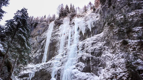 Wiele Zamarzniętych Wodospadach Ekstremalnych Alpiniści Chłodne Zimowe Wieczory Dolomitach Włochy — Zdjęcie stockowe