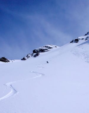 erkek kayakçı ve İsviçre Alpleri'nin backcountry el değmemiş toz karda taze parça