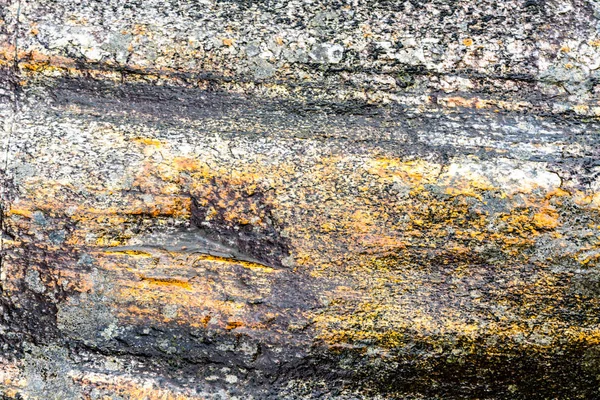 Close Fundo Pedra Gneiss Colorido — Fotografia de Stock