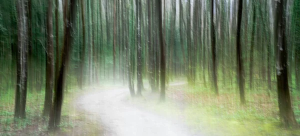 Oświetlone Drogi Światła Przez Bujny Las Zielony Abstrakcja Panoramowanie Stylu — Zdjęcie stockowe