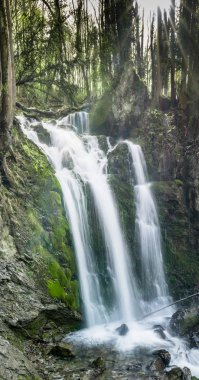 Ağaçların arasından parlayan sıcak güneş ışığı ile gür yeşil ormanda güzel bir şelale dikey Panoraması