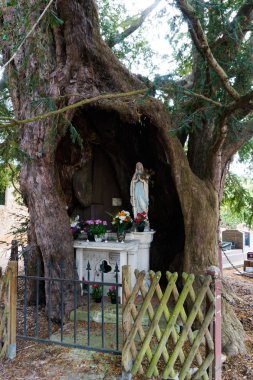 La Haye-de-Routot 'taki dev porsuk ağacının içindeki sunak manzarası