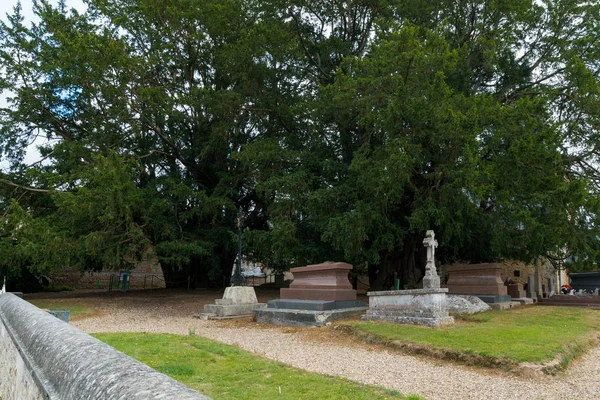 Vista del cimitero e dei famosi vecchi tassi giganti a La Haye-de-Routot — Foto Stock