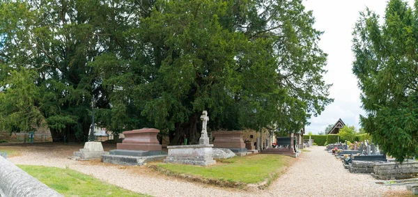Vista panoramica sul cimitero e sui famosi tassi giganti di La Haye-de-Routot — Foto Stock