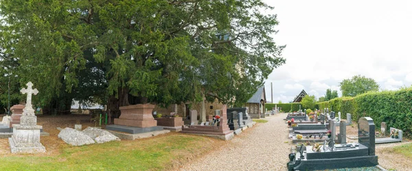 Vista panoramica sul cimitero e sui famosi tassi giganti di La Haye-de-Routot — Foto Stock