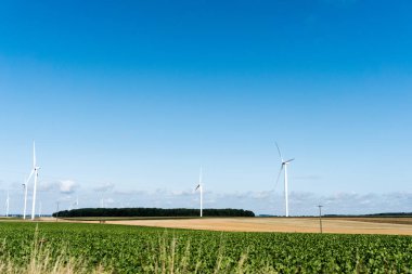Mavi gökyüzünün altında yeşil ve sarı ekinlerin ve rüzgâr tarlalarının olduğu uçsuz bucaksız tarlaların manzarası
