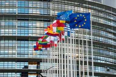 Avrupa Birliği Parlamentosu binası ve tüm bayraklarının görüşü