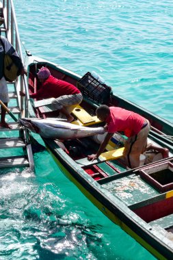 Afrikalı balıkçılar taze ton balıklarıyla limana döndüler.