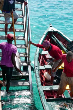 Afrikalı balıkçılar taze ton balıklarıyla limana döndüler.