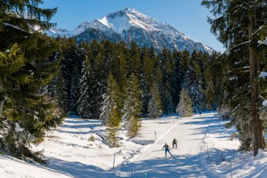 Sporcular ve turistler, Lenzerheide kayak merkezindeki İsviçre Alplerinde sağlıklı bir İskandinav kayak sporunun keyfini çıkarıyorlar.