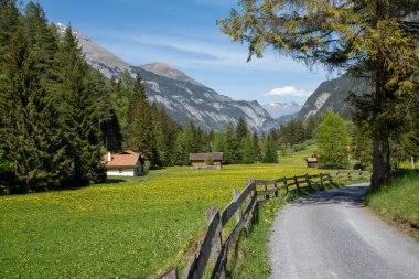 İlkbaharda İsviçre Alpleri 'nin göbeğindeki cennet gibi bir dağ vadisi manzarası